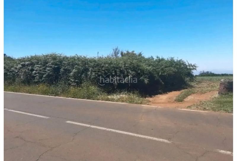 Foto d8e6fb92-01eb-4d53-a12f-e365ae8f4778. Finca rústica a tf-24 86 a La Esperanza - Llano del Moro Rosario (El)