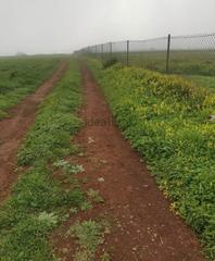 Finca rústica a Tf-24 86. Venta de terreno en la esperanza, el rosario.