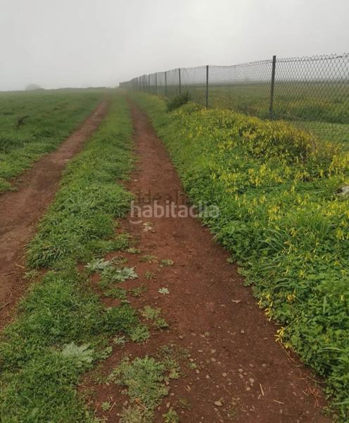 Foto e867363b-2b19-4cec-8171-10376a2b3cd5. Finca rústica a tf-24 86 a La Esperanza - Llano del Moro Rosario (El)
