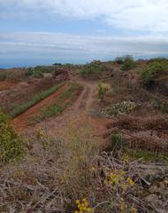 Finca rstica en Calle el natero 79. Venta de terreno rstico agrario en garachico, el natero, tender