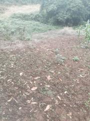 Finca rústica a Camino lomo alto 8. Venta de terreno en la orotava.