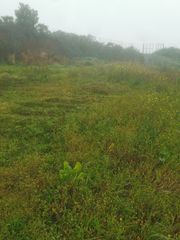 Finca r�stica en Pasaje erjos 1
