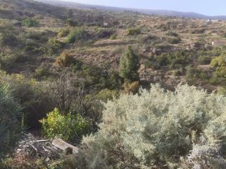 Finca r�stica en Carretera la monta�a 6. Venta de terreno r�stico en la monta�a arico.