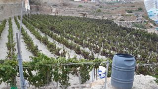 Finca r�stica en Calle el calvario 18. Venta de terreno r�stico y asentamiento rural en el desierto.