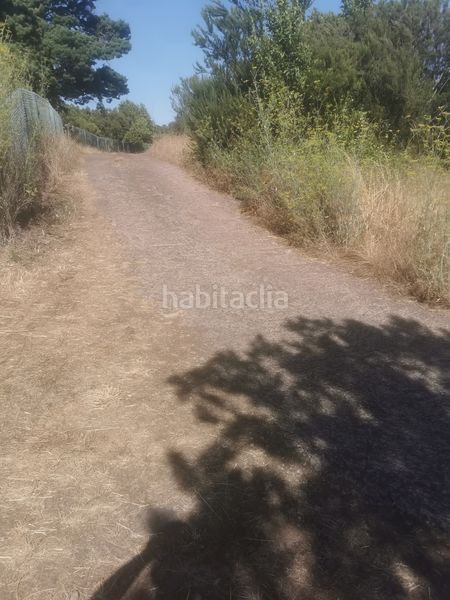 Foto 106f01a8-7600-4f85-a9f7-0fc86c8b0d00. Finca rústica a calle 45 a Tanque (El)