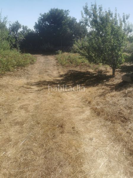 Foto 128a59d0-f439-485b-b436-cea109e03640. Finca rústica a calle 45 a Tanque (El)