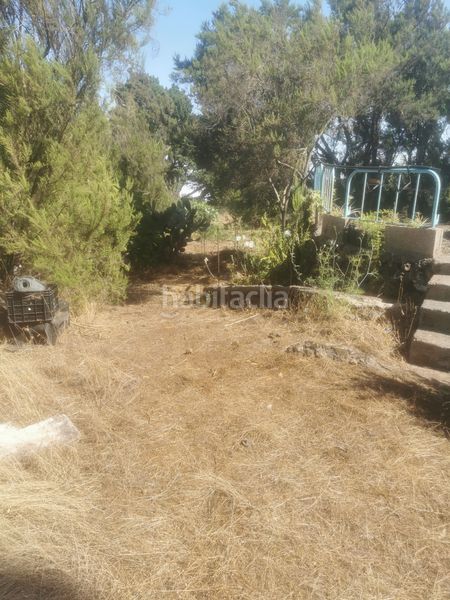 Foto 361a06b3-ecf1-4f4c-bd76-a8df5063bc4e. Finca rústica a calle 45 a Tanque (El)