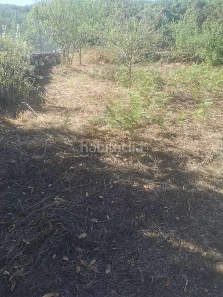 Foto 3a0f2ea8-e67b-472d-99d1-b4e9b2a657f5. Finca rústica a calle 45 a Tanque (El)