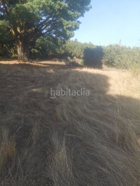 Foto 47135074-4d27-4861-a46b-69de9971d01b. Finca rústica a calle 45 a Tanque (El)