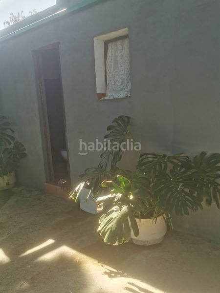 Foto 52f51c57-2fb9-437d-ab7f-a3629b0e21d0. Finca rústica a calle 45 a Tanque (El)