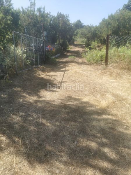 Foto 54826d64-f2d4-42f5-8110-13710fcb7e43. Finca rústica a calle 45 a Tanque (El)