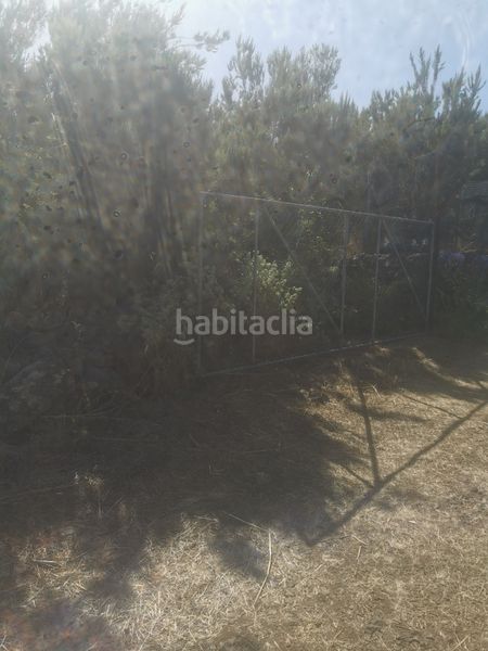 Foto 67d7f3ea-6754-4e82-989f-f18bd65c0c59. Finca rústica a calle 45 a Tanque (El)