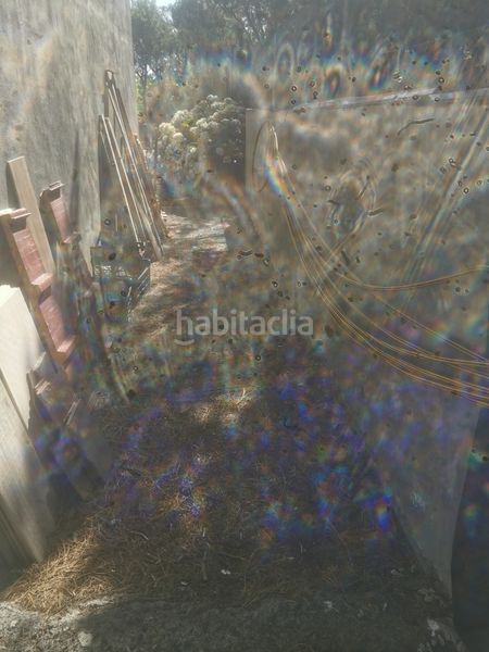 Foto 95803253-90d1-4e93-9db4-813d681a7187. Finca rústica a calle 45 a Tanque (El)