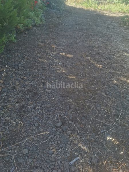 Foto 993722ad-0149-4e49-a7b8-ee8dd0b1cae8. Finca rústica a calle 45 a Tanque (El)