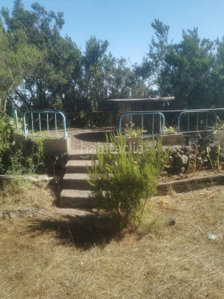 Foto aa14af7f-888b-414e-bcc5-75ca25e8eac1. Finca rústica a calle 45 a Tanque (El)