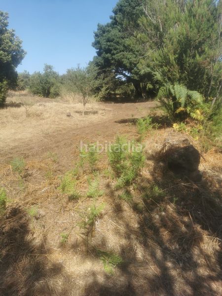 Foto aaa68971-8b8b-4769-aa6e-626be801d7d4. Finca rústica a calle 45 a Tanque (El)
