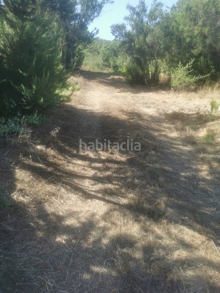 Foto b1ef6b44-8aee-45a0-bc87-c8aeb7fcf19b. Finca rústica a calle 45 a Tanque (El)