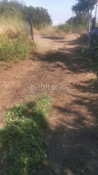 Foto ca529aa5-9176-47c6-80aa-e9a6cf13ad4d. Finca rústica a calle 45 a Tanque (El)