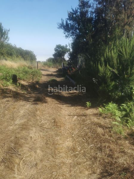 Foto e377c11a-dbd0-4f57-a37d-b91bd21d2a48. Finca rústica a calle 45 a Tanque (El)