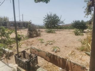 Finca rústica en Carretera los Roques 23