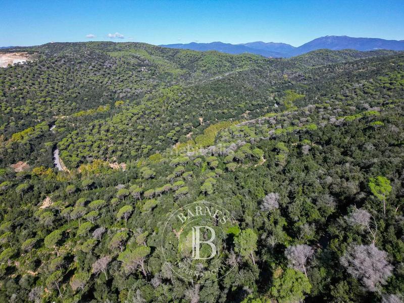 Foto e8bb5db1-e2c6-4bee-b4a9-1ffb994d690b. Residential plot in Dosrius poble Dosrius