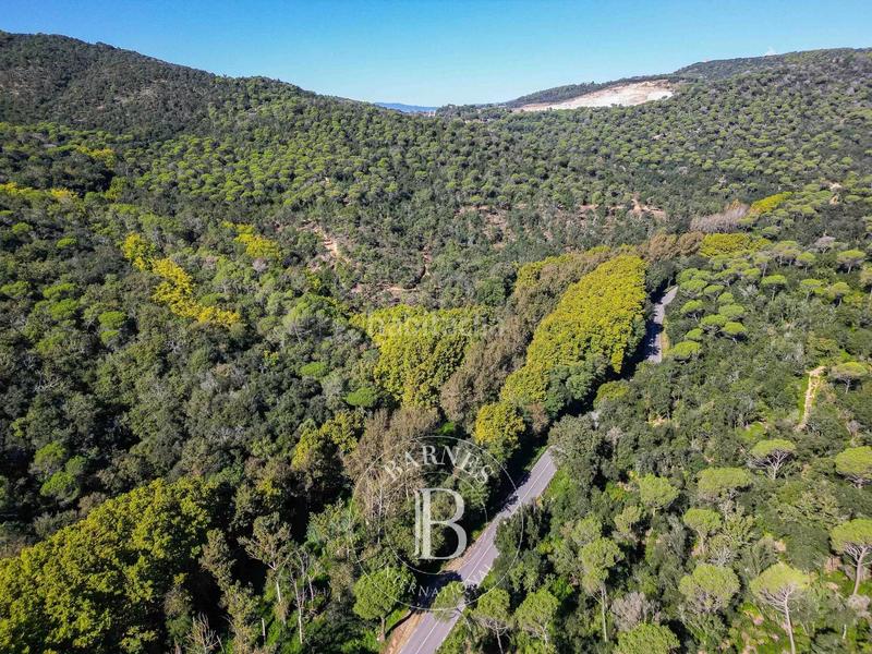 Foto 490d03ed-f46b-4d43-b52e-8fbed509d5d3. Terreno residenziale in Dosrius poble Dosrius