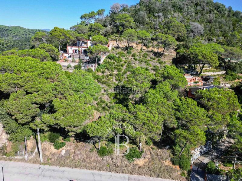 Foto 497a7aa8-eb86-4a85-8ef4-0c4081c31972. Terreno residenziale in Dosrius poble Dosrius