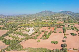 Terreno residencial en Felanitx Poble
