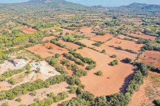 Residential Plot in Felanitx Poble