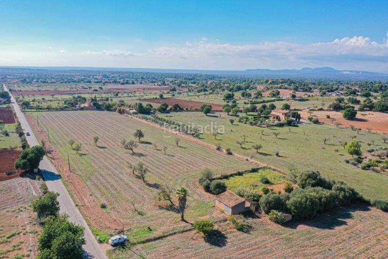 Foto 433c229e-6e77-47d1-b04f-6c0a5b61be37. Terreny residencial a Felanitx poble Felanitx