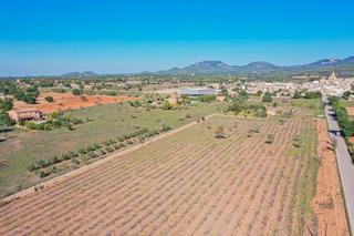 Terreny residencial a Felanitx Poble