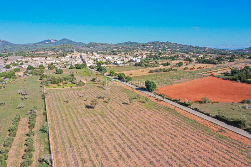 Foto 2682af18-3730-4364-a4c9-07da1e13a7bb. Terreno residenziale in Felanitx poble Felanitx