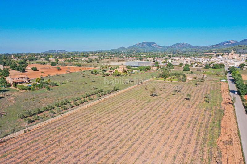 Foto a00bcf2e-476d-43dc-8ca2-1d16366279ad. Terreno residenziale in Felanitx poble Felanitx