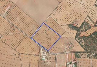 Terreny residencial a Felanitx Poble