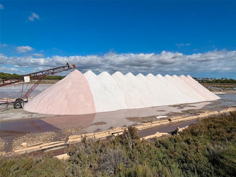 Foto b29d49af-0fca-42db-ba49-5c60b876e3f1. Appartement dans Ses Salines poble Ses Salines