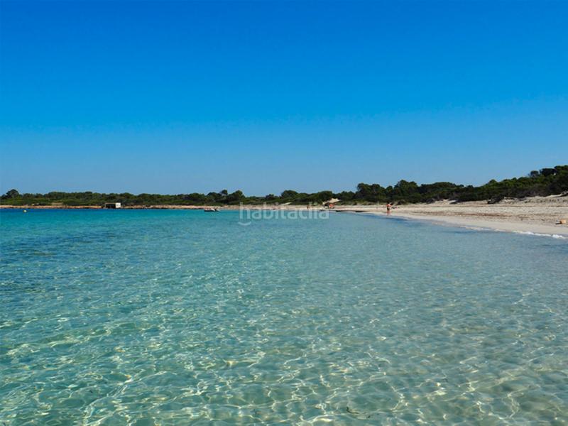 Foto 239764b5-b2d6-476f-983f-b7aa0f153e65. Appartement in Ses Salines poble Ses Salines