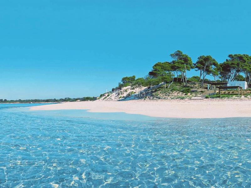 Foto 8f5fc096-2710-454f-8c42-9b4b1c1416d9. Piccolo appartamento in Ses Salines poble Ses Salines