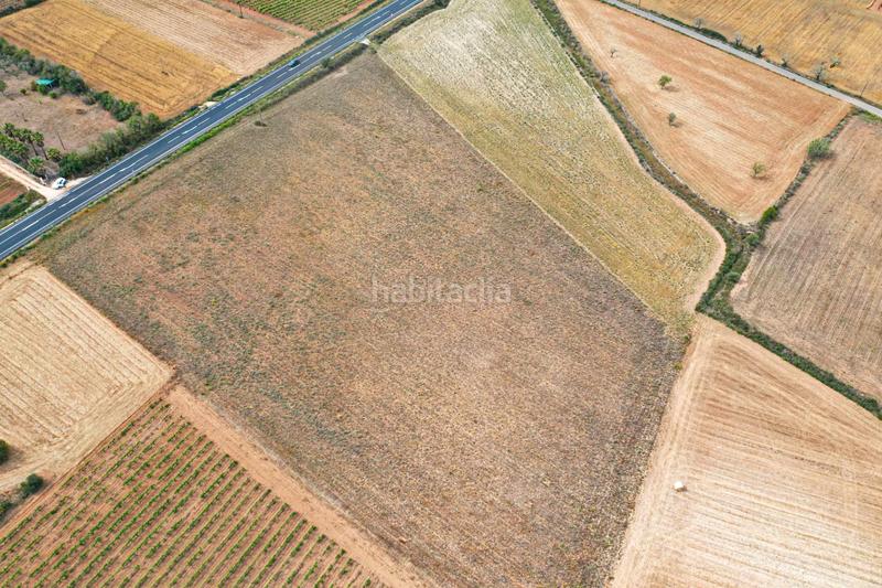 Foto 187d9702-08fc-4c13-9e95-d1349d75e9f0. Terreno residenziale in Felanitx poble Felanitx