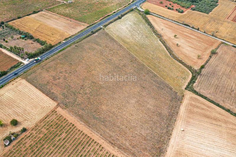 Foto 6a2b6782-ae7a-49c6-a5d3-f2bd1198c548. Terreno residenziale in Felanitx poble Felanitx