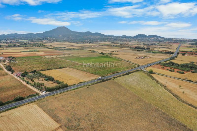 Foto b5d0716a-80e2-4426-a633-b9435ce8f4fa. Terreno residenziale in Felanitx poble Felanitx