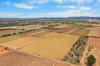 Terreny residencial a Felanitx Poble