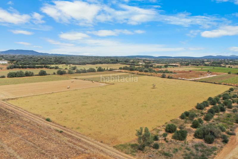 Foto 33155643-aea8-43ea-99c4-112dd05897bb. Residential plot in Felanitx poble Felanitx