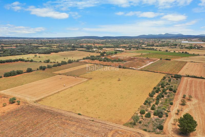 Foto 72b57aa5-6fc5-4668-816e-8335b2fbbf00. Terreno residenziale in Felanitx poble Felanitx