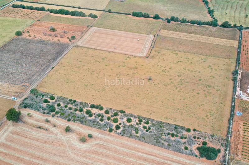Foto a2150ae7-fcd7-4cf5-a04c-8c41e96ff090. Terreno residenziale in Felanitx poble Felanitx