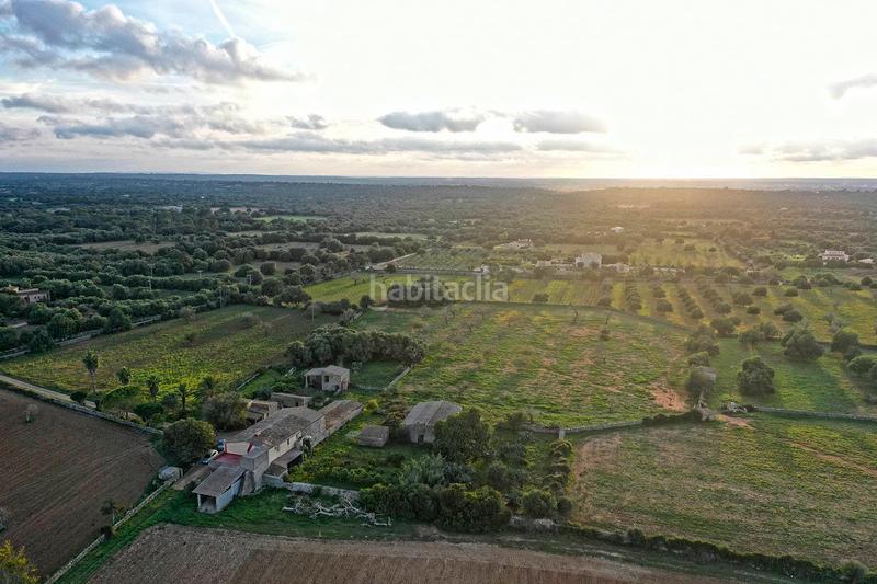 Foto f9c01322-61ed-482d-bcad-614e3e2dcfad. Casa in Felanitx poble Felanitx