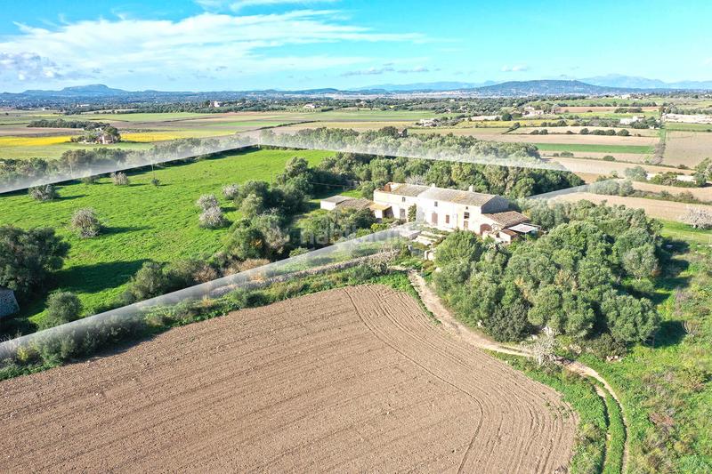 Foto a9d3b3de-8f51-4ceb-806e-4b6591f7b277. Casa in Felanitx poble Felanitx
