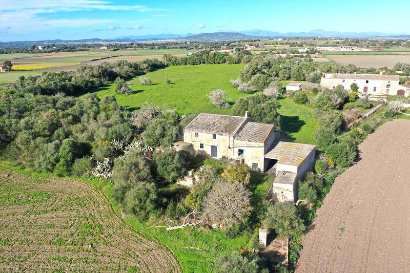 Foto 5fc8fe70-d75f-4e5d-bee5-86bc244e5231. Casa in Felanitx poble Felanitx