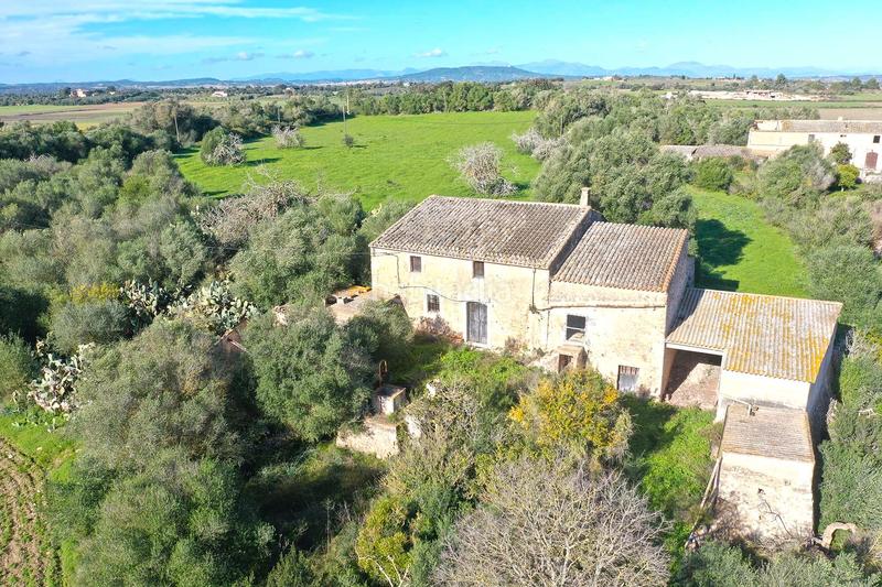 Foto bc9fe2b3-d1a9-4fc6-9918-0da79d6b2295. Haus in Felanitx poble Felanitx