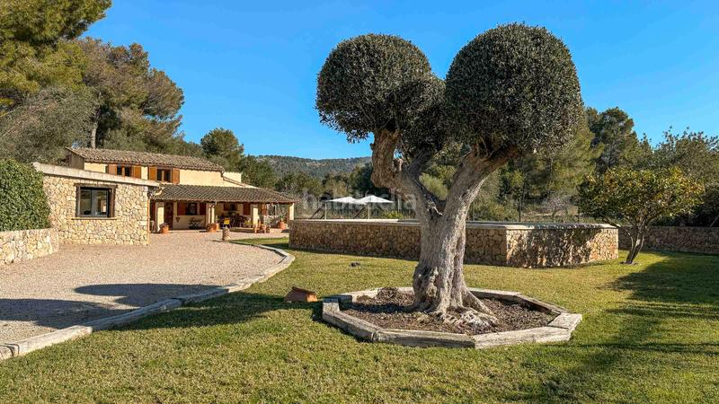 Foto 257731f6-46f1-4809-9a9e-69f948661eb6. Casa a Calvià poble Calvià