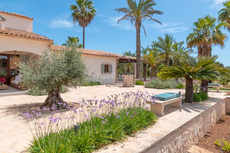 Foto 58578d77-58d1-4552-a9e4-3276ffa0c297. Haus in Felanitx poble Felanitx